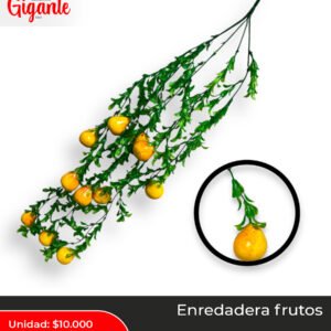 ENREDADERA FRUTA PALO