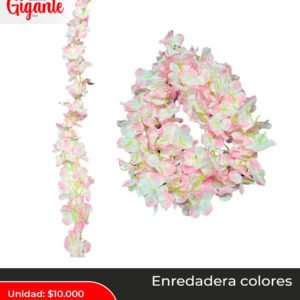 ENREDADERA COLORES SURTIDA