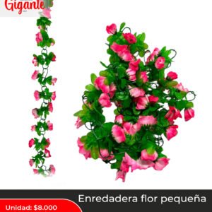 ENREDADERA FLOR PEQUEÑA