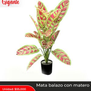 MATA BALAZO COLORES