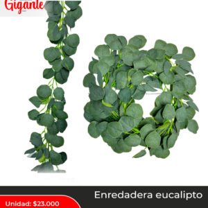 ENREDADERA EUCALIPTO