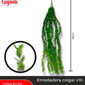 ENREDADERA FOLLAJE PINO