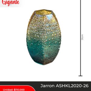 JARRON ASHKL2020-26