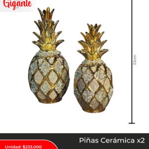 PIÑA CERAMICA X2 AR10552