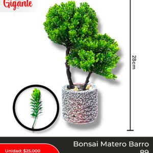 BONSAI MATERA BARRO