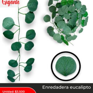 ENREDADERA EUCALIPTO ECO