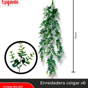 ENREDADERA FOLLAJE REDONDA X 5