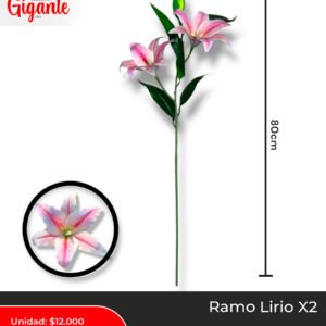 RAMO LIRIO X2 GDE