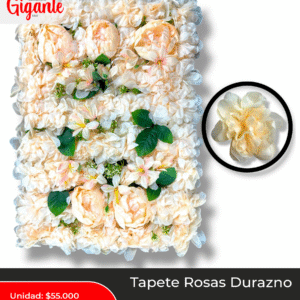TAPETE ROSAS DURAZNO